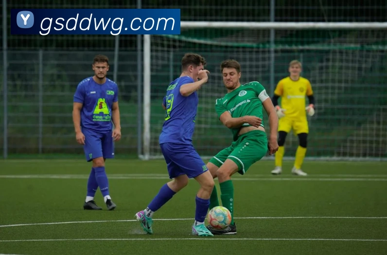 开云官方登陆入口发展历程